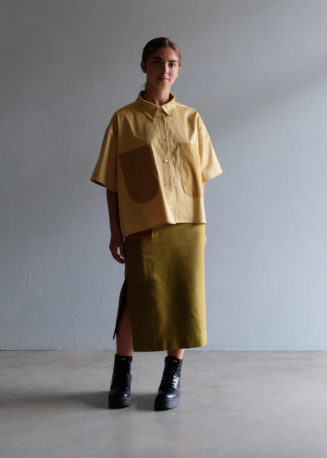 Artemisia gialla - preordine - immagine 3